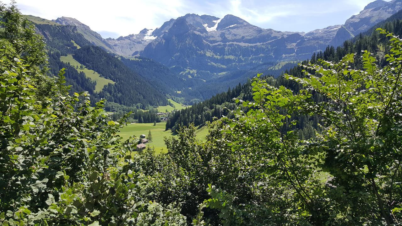Bed and Breakfast Bergluft à Lenk im Simmental Extérieur photo